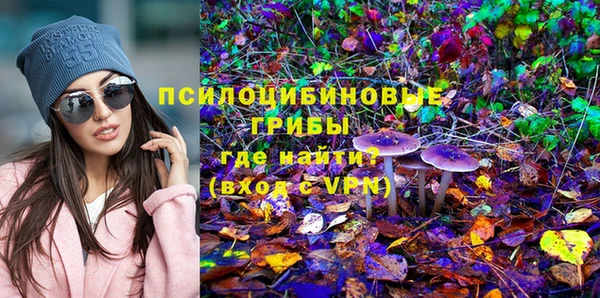 эйфоретик Алзамай
