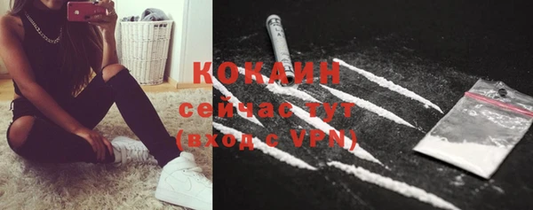 дживик Алексин