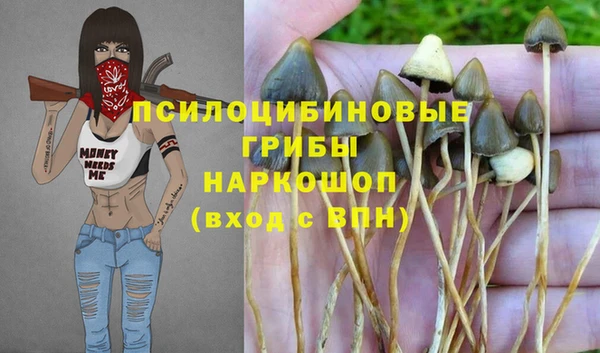 эйфоретик Алзамай