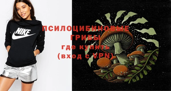 эйфоретик Алзамай