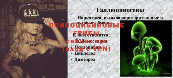 эйфоретик Алзамай