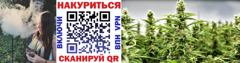 Бошки Шишки марихуана  Мураши 